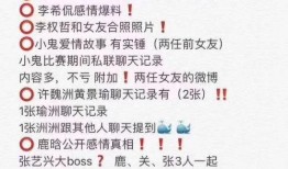 朝阳黑料 明星价格表,朝阳黑料背后的明星收入秘密